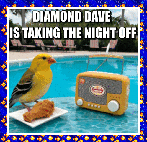 diamond dave is taking the night off with a bird