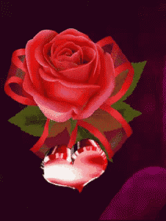 a red rose with a red ribbon around it and a red heart