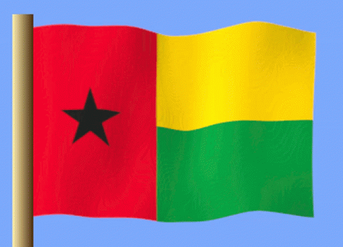 Gine Bissau GIF - Gine Bissau GIFs