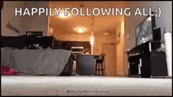 a picture of a living room with the words " happily following all " above it