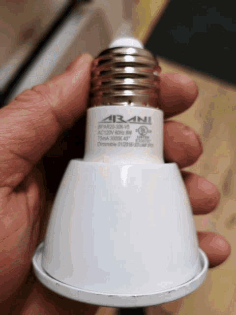 a hand is holding a light bulb that says " arani " on it