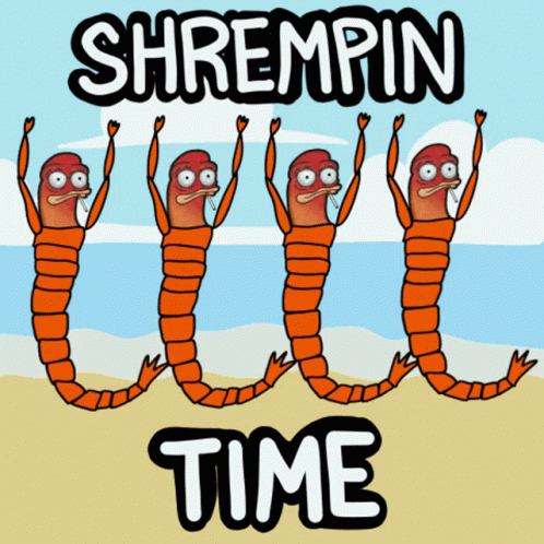 Shrimps Beach GIF