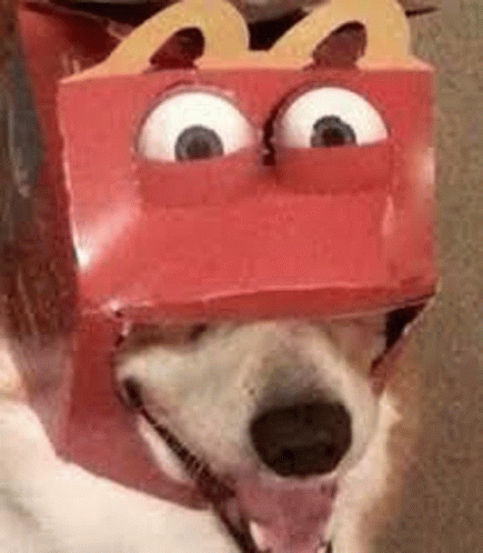 Dog Mcdonalds GIF - Dog Mcdonalds GIFs