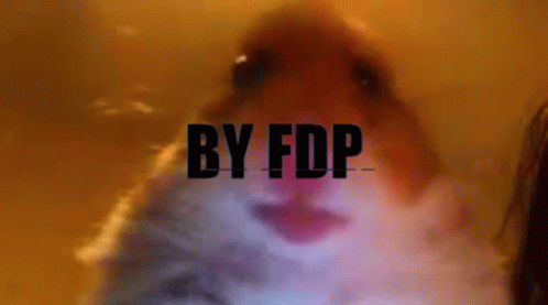 Fdp GIF - Fdp GIFs
