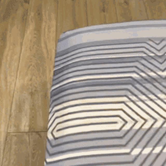 a blue and white striped blanket is laying on a wooden floor