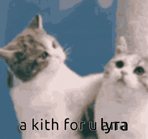 two cats are looking at each other with the words " a kith for u tyra " on the bottom