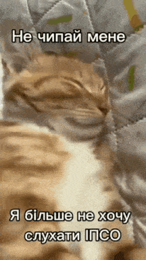іпсо Psyop GIF