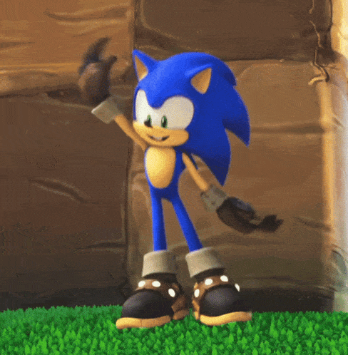 a cartoon character named sonic the hedgehog is standing on a grassy field