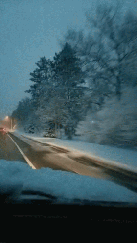 Winter Trees GIF - Winter Trees Driving GIFs