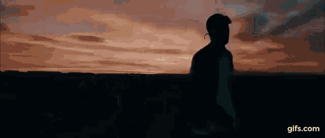 a man is standing in front of a sunset in a field .