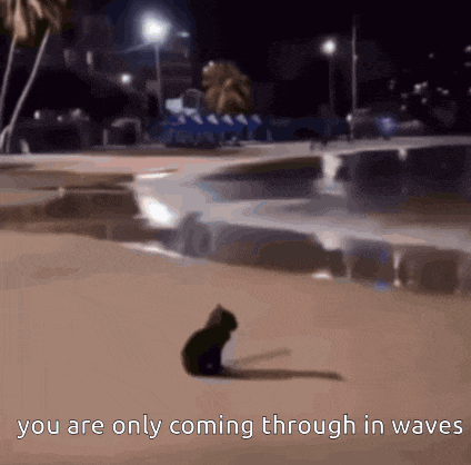 a picture of a cat on a beach with the words you are only coming through in waves