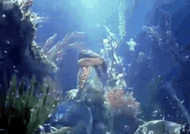 a mermaid is swimming in the ocean surrounded by corals and fish .