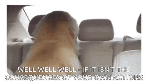 Dog Turn GIF