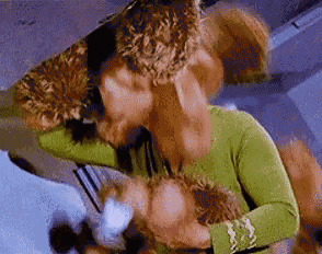 a woman in a green shirt is holding a stuffed animal and kissing it .