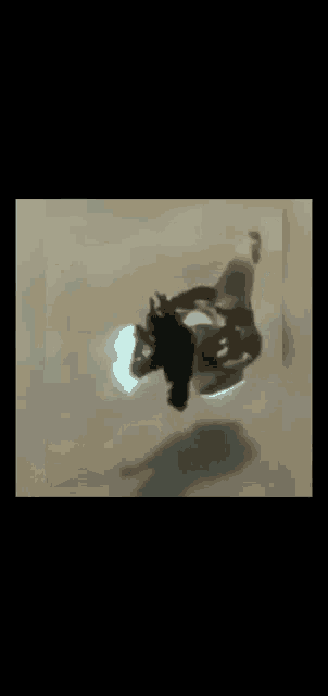 a close up of a person 's shadow with a light coming out of it .