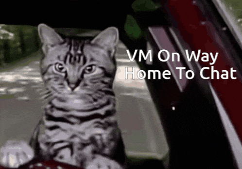 a cat is sitting in the driver 's seat of a car with the words " vm on way home to chat " below it