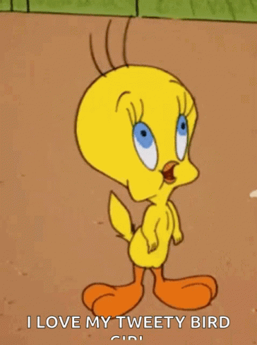 Looney Tunes GIF - Looney Tunes Tweety GIFs