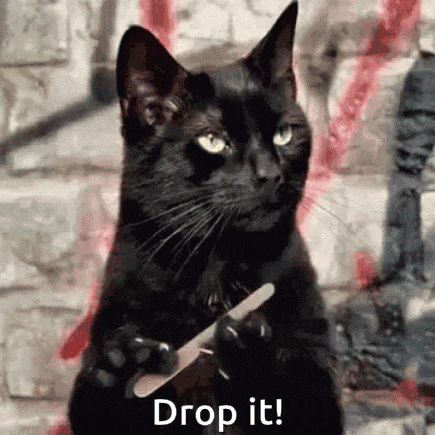 a black cat is holding a nail file in its paws and saying `` drop it '' .