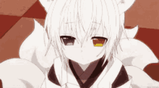 a girl with white hair and cat ears is wearing a white kimono .