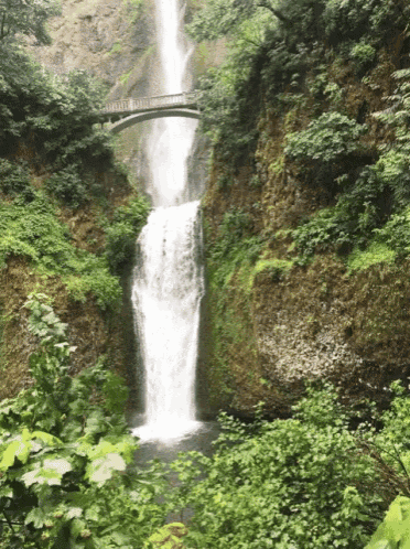 a waterfall surrounded by trees and a bridge