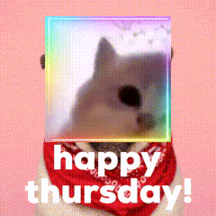 a picture of a dog with the words happy thursday