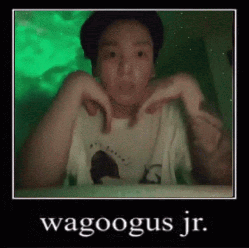Googie Wagoogus Jr GIF - Googie Wagoogus Jr Kitty GIFs