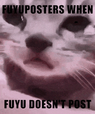 Fuyuposting Fuyuposters GIF - Fuyuposting Fuyuposters Fuyu GIFs