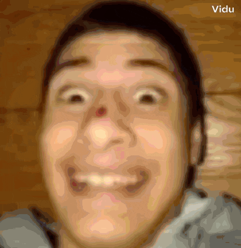 a close up of a person 's face with the words " vidu " at the bottom