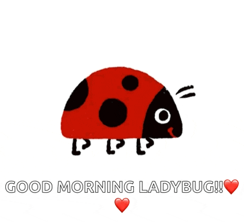 a ladybug is on a white background with the words good morning ladybug written below it