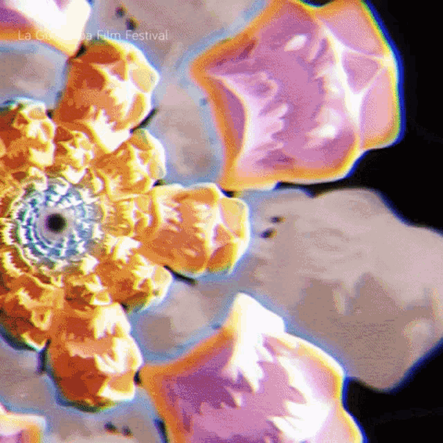 Trippy Glitch GIF - Trippy Glitch Flower GIFs