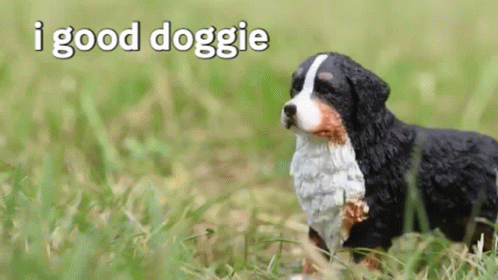 Dog Doggie GIF - Dog Doggie Ingram GIFs