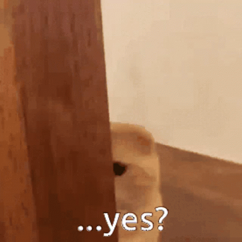 Embarassed Yes GIF - Embarassed Yes Ok GIFs
