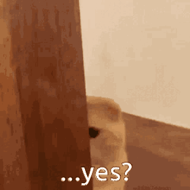 Embarassed Yes GIF