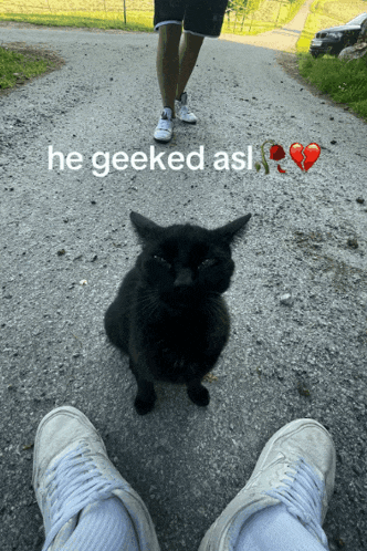 a picture of a black cat with a caption that says he geeked ast