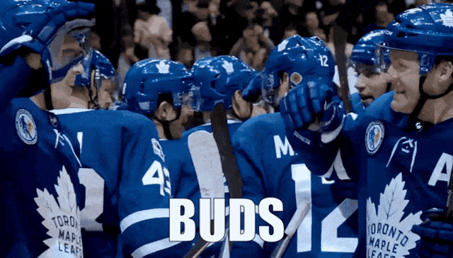 a group of toronto maple leafs players huddled together