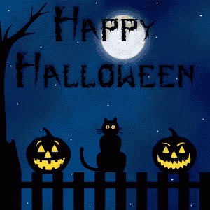 a halloween greeting card with a black cat pumpkins and a witch