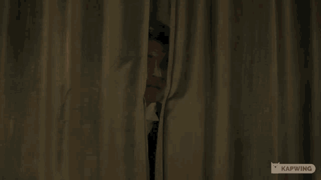 a man in a suit and tie peeking out from behind a curtain with a kapwing logo in the corner