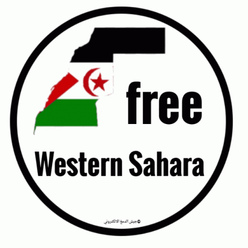 Freedom Western Sahara GIF - Freedom Western Sahara Sahara Occidental GIFs