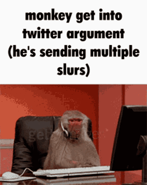Twitter Monkey Monkey GIF - Twitter Monkey Monkey Slurs GIFs
