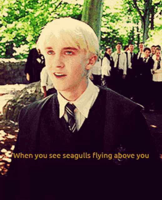 a man in a sweater and tie says " when you see seagulls flying above you " in yellow