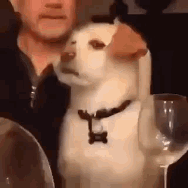 a dog is sitting at a table with a man behind it .