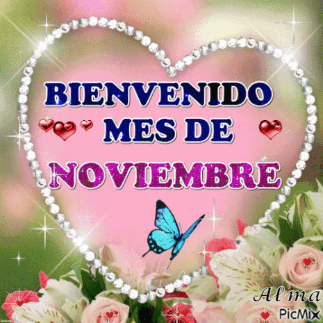 a pink heart with the words bienvenido mes de noviembre written on it