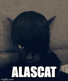 a picture of a black cat with the word alascat below it