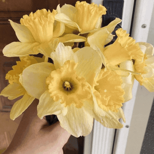 a person is holding a bouquet of yellow flowers