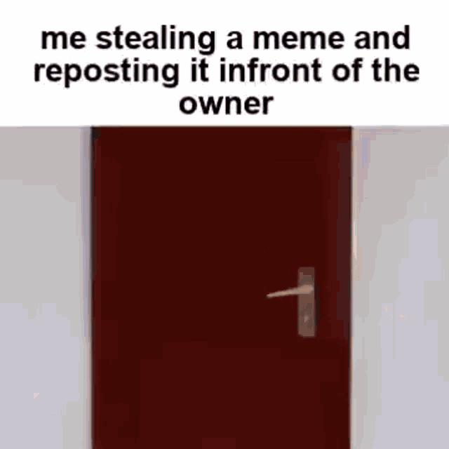 Meme Stealing GIF - Meme Stealing GIFs