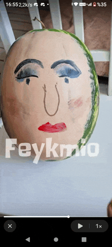a watermelon with a face drawn on it and the name feykmio