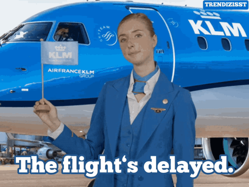 Delayed Flight GIF - Delayed Flight Flight Delayed GIFs