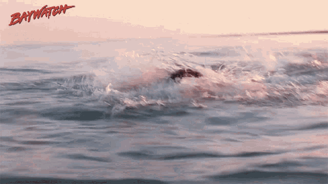 a poster for baywatch shows a shark in the water