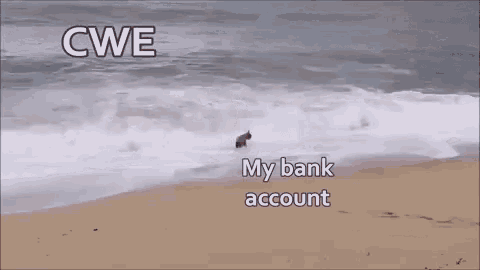 Crushed Bank Account GIF - Crushed Bank Account Beach GIFs