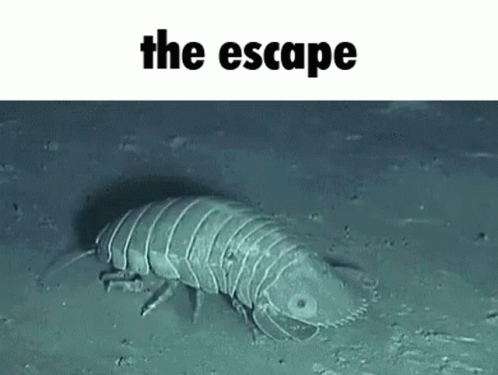 Isopod Ifunny GIF - Isopod Ifunny The Escape GIFs